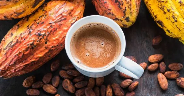 [Hỏi Đáp] Ca cao có tác dụng giảm cân không