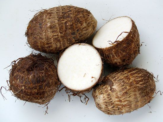 [Dáng đẹp] Ăn khoai sọ có giảm cân không?